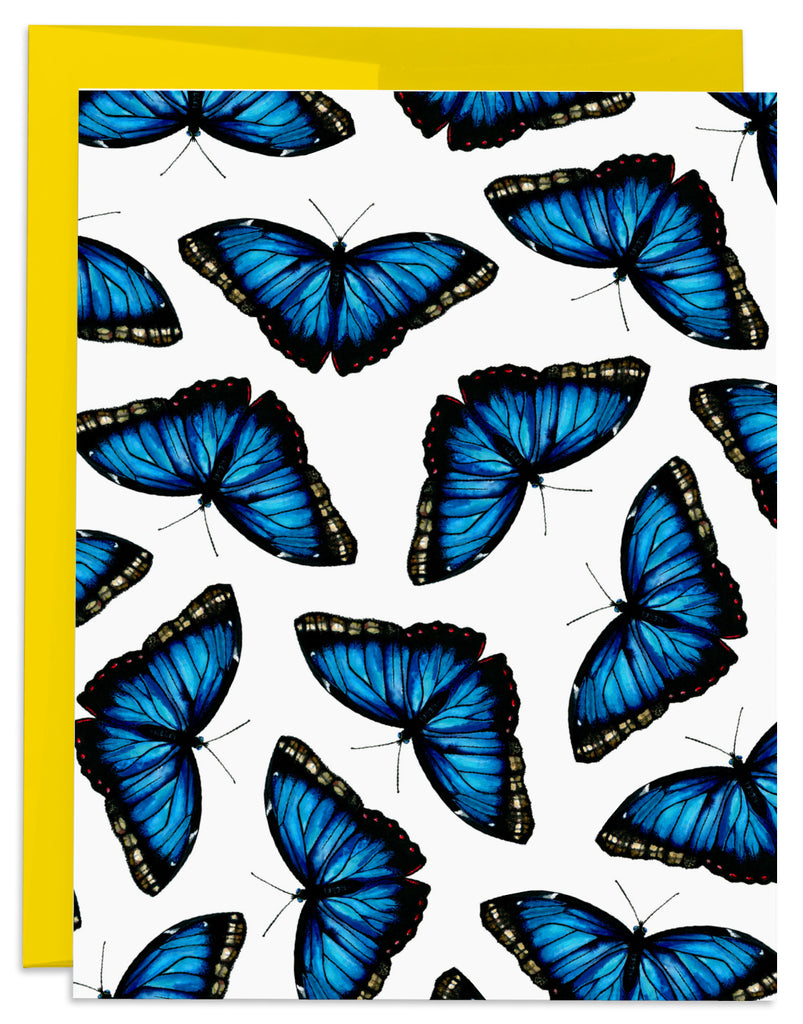 J6R6 Blue Morpho Butterfly Card Front