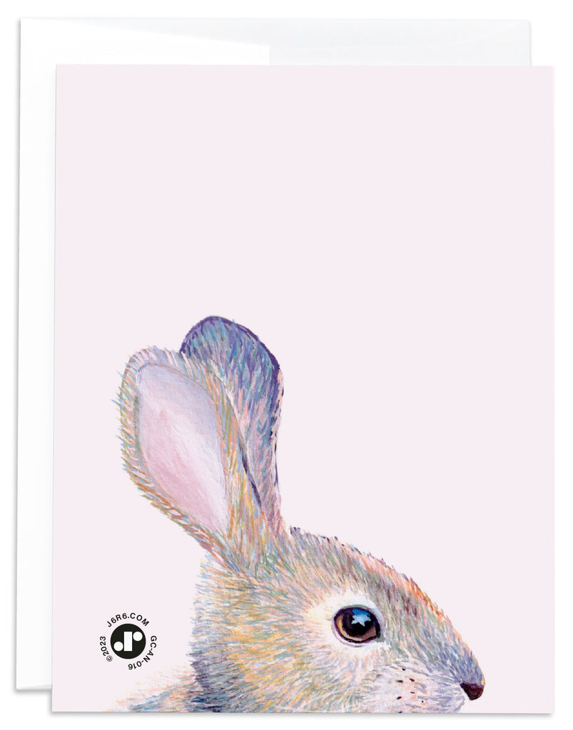 J6R6 Bunny Card Back