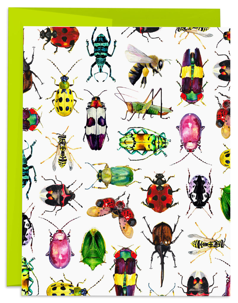 J6R6 Insect Card Front