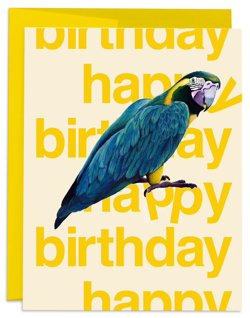 J6R6 Macaw Yellow Birthday Card Front