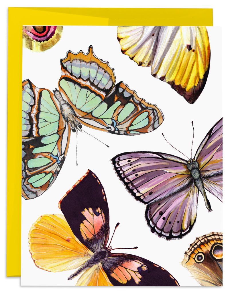 J6R6 Moth and butterfly card front