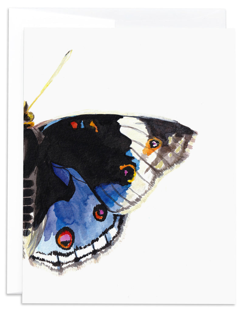 blue pansy butterfly card back