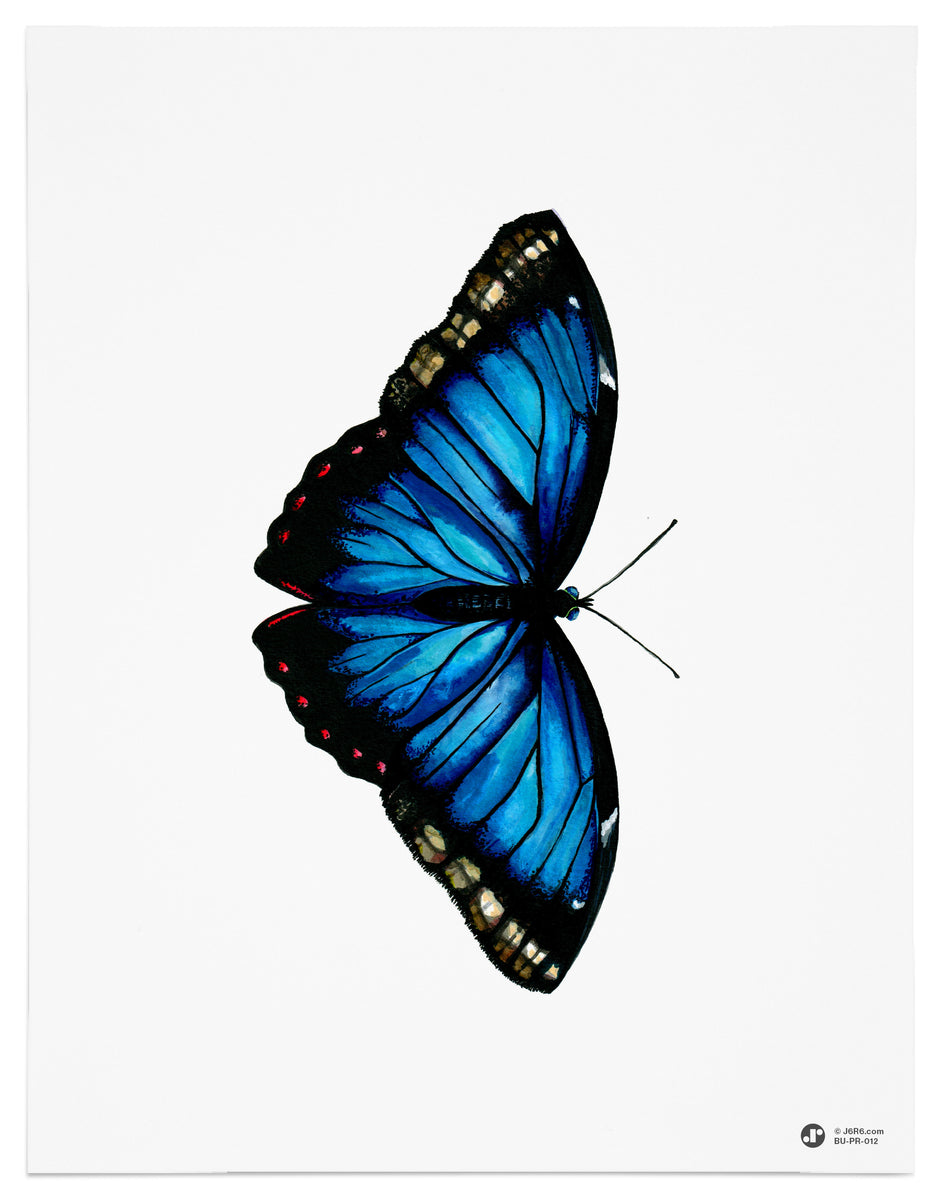 絵画 butterfly Butterfly-12-Art-