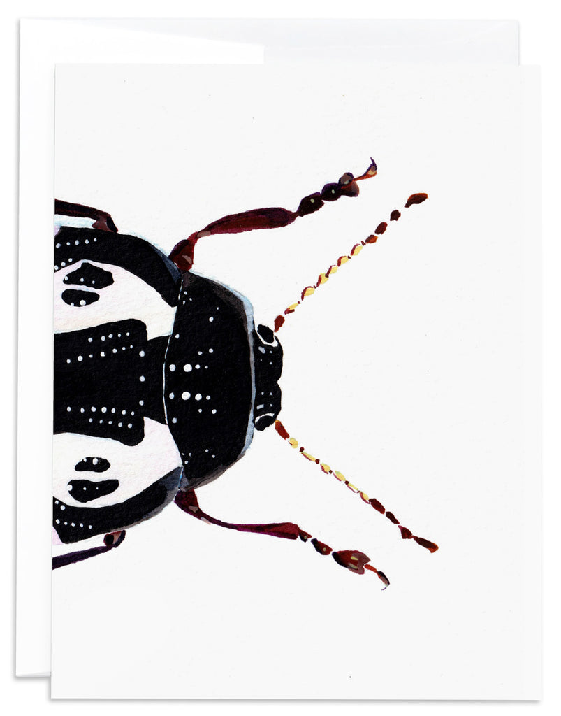 calligrapha pink beetle blank note card front