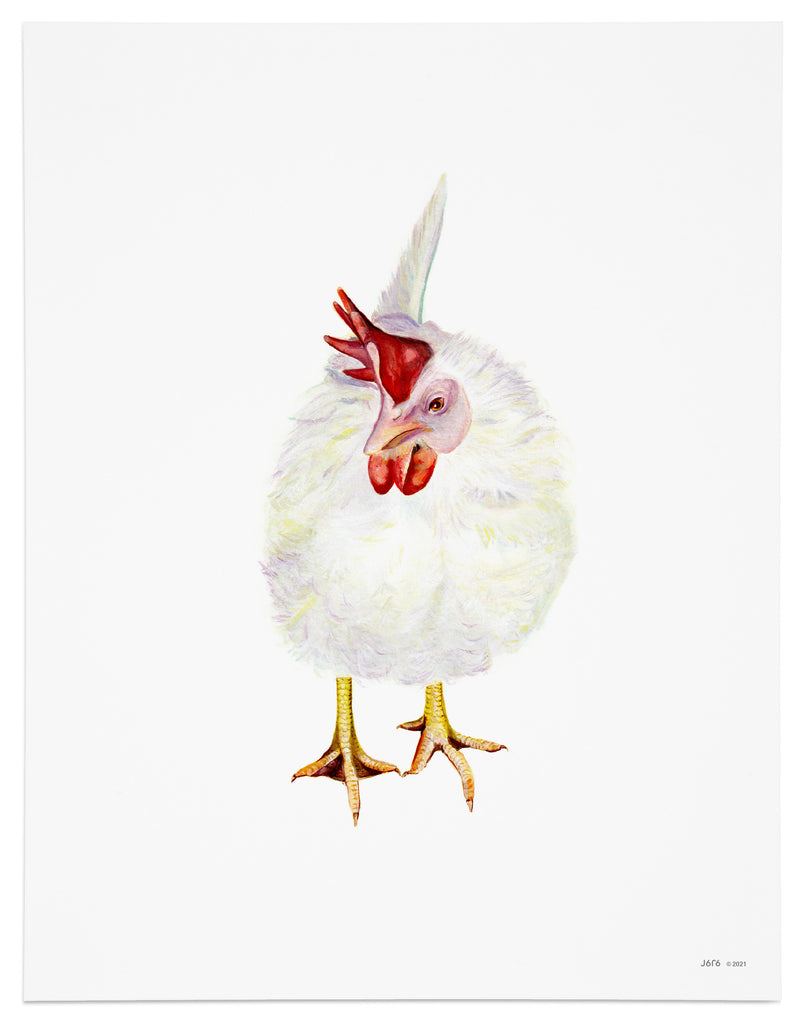 white chicken art print