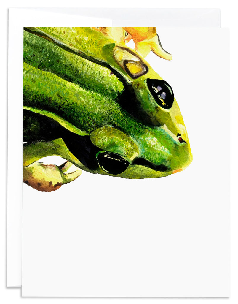 green frog notecard front