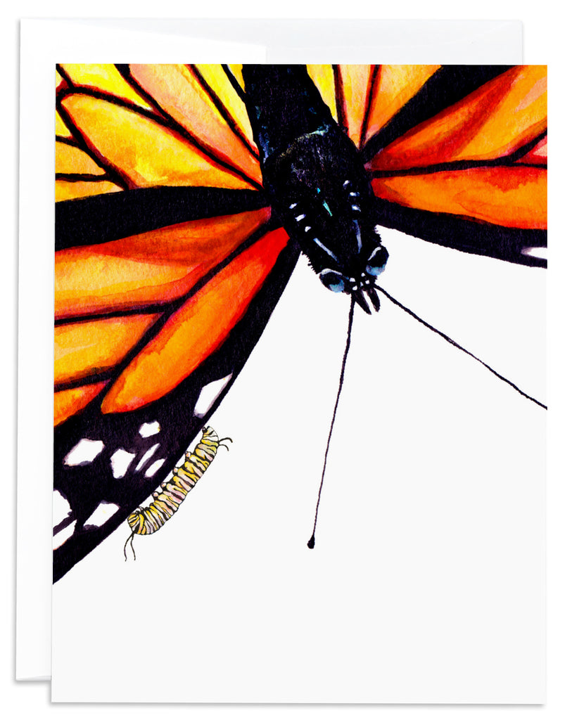 Orange Monarch Butterfly and Caterpillar card frong
