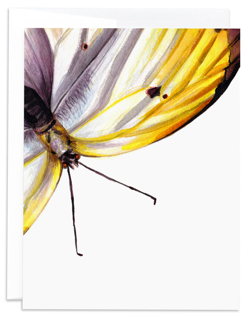 Yellow Butterfly Card Front