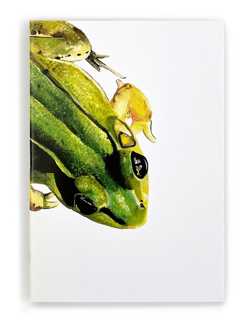 frog notebooks front