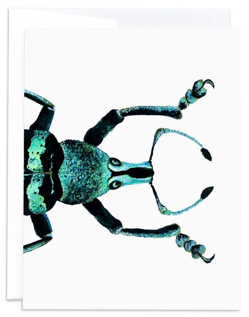 aqua and black insect card front