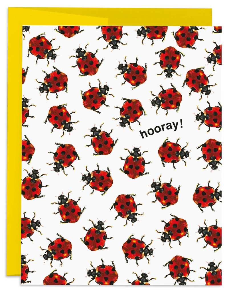 ladybug hooray card front
