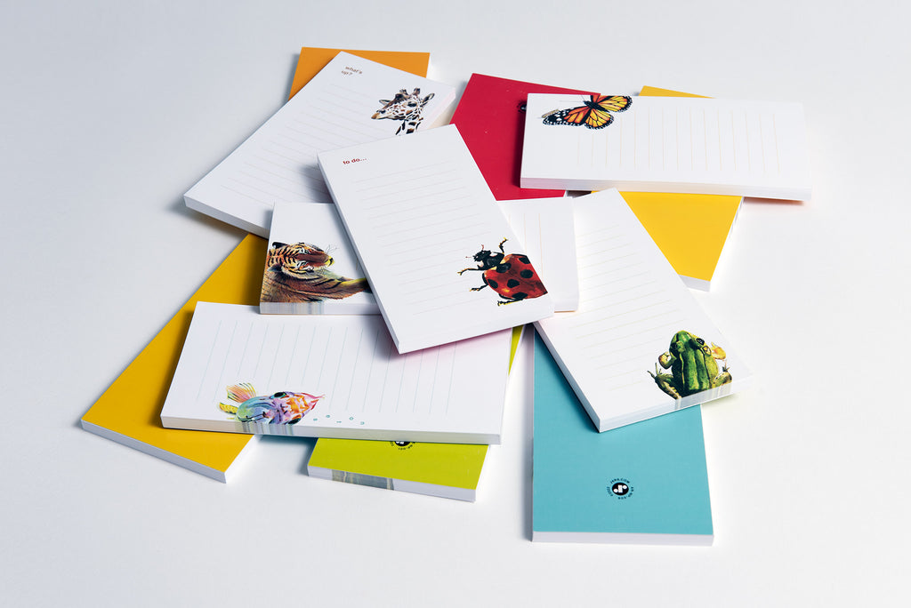 selection of colorful lined notepads