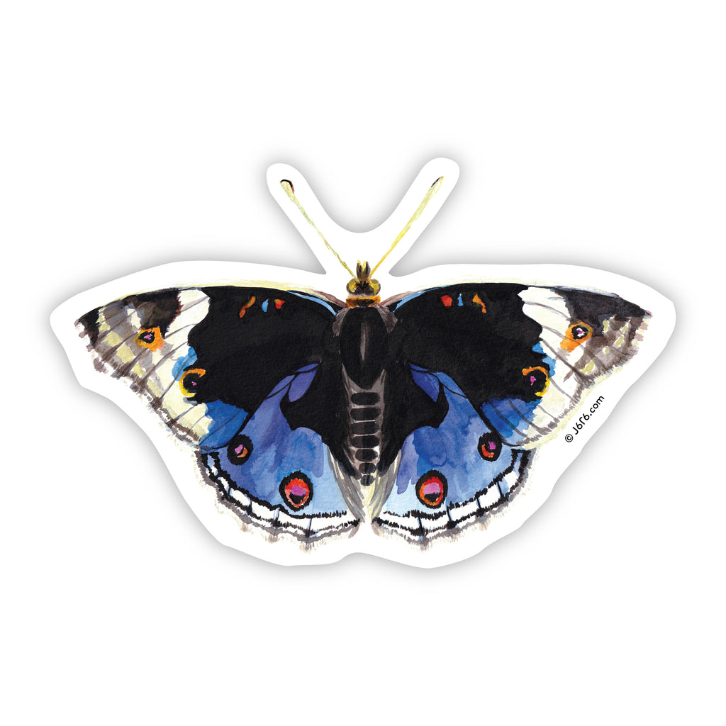 J6R6 Blue Pansy Butterfly Sticker
