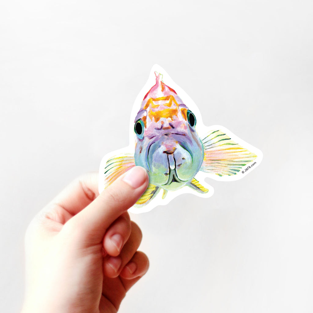 hand holding vinyl fish sticker