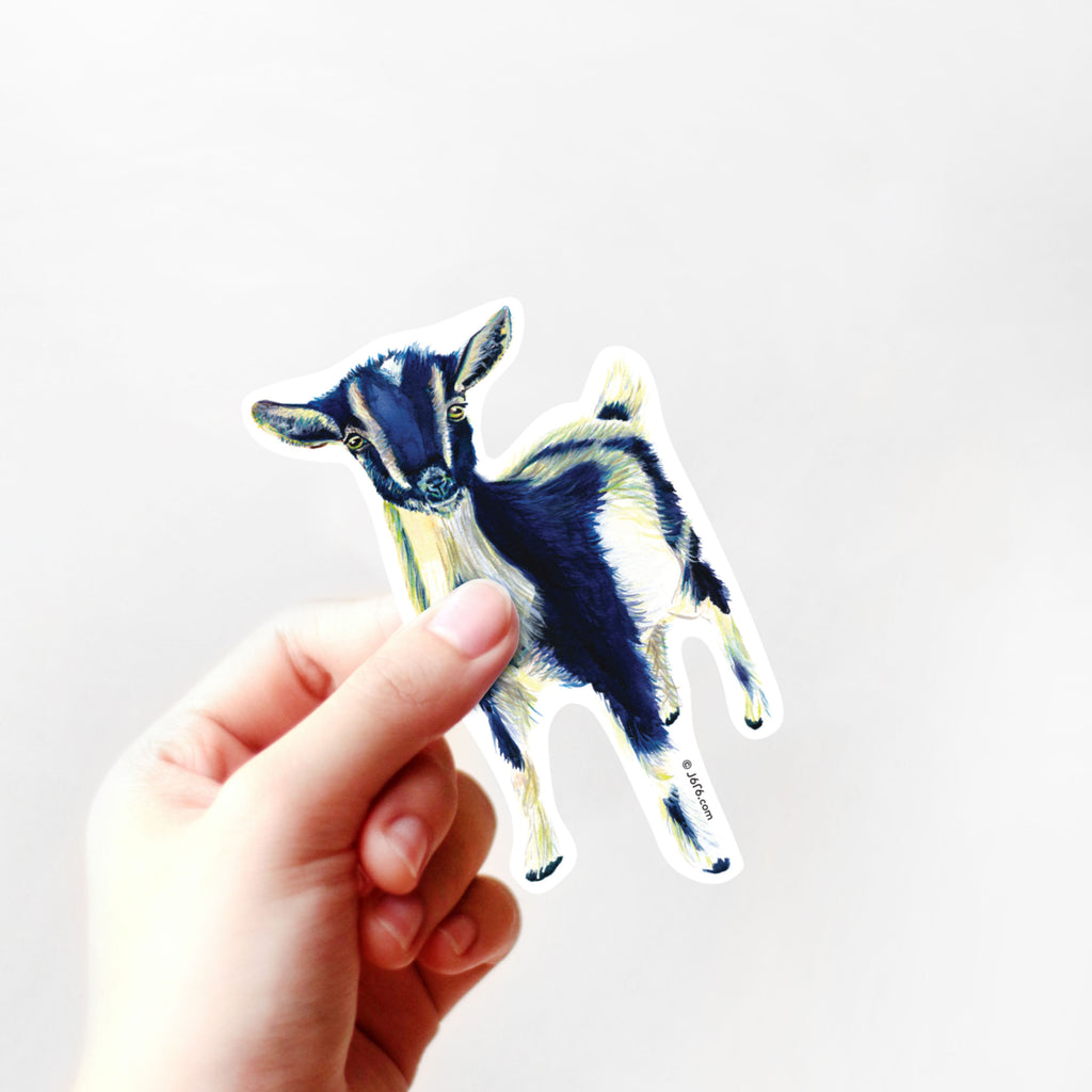 hand holding blue pygmy goat sticker