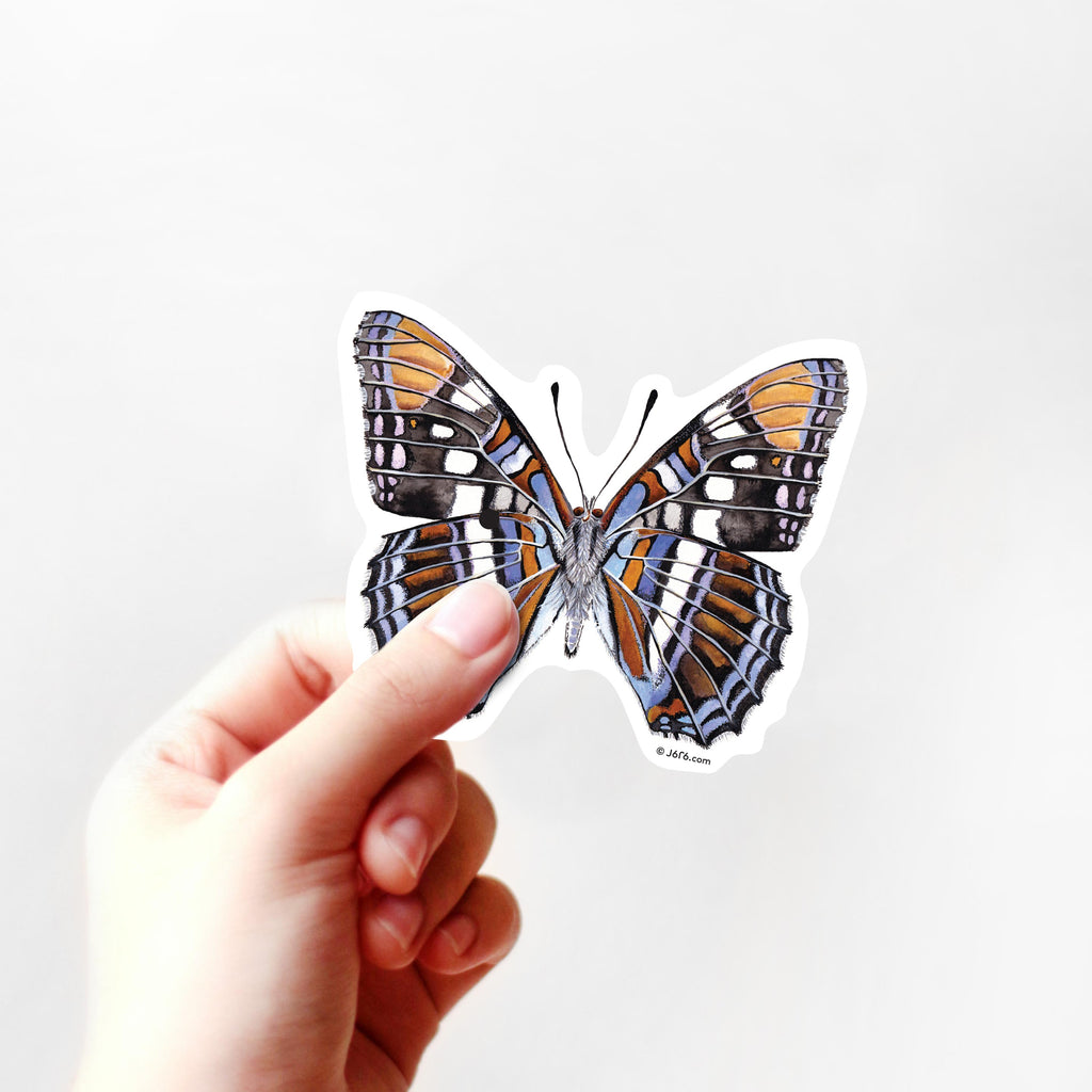blue arizona butterfly sticker in hand