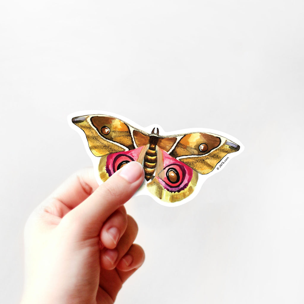 hand holding pink and gold buckeye moth sticker