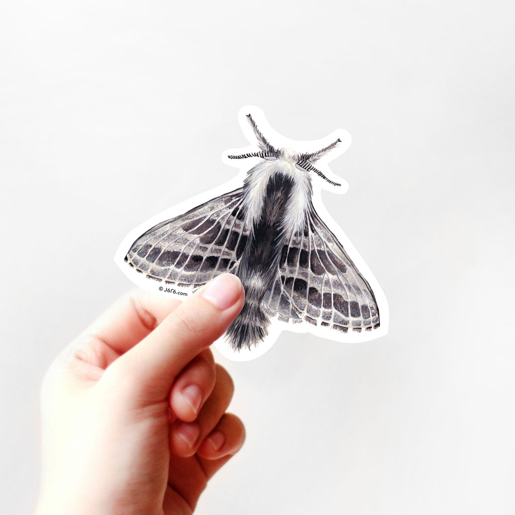 gray and white moth sticker by J6R6