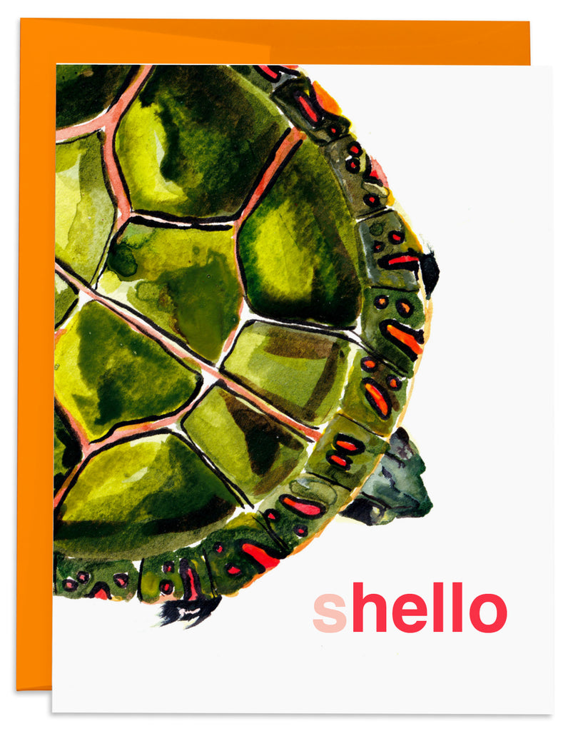 Painted Turtle Shello Card Front by J6R6