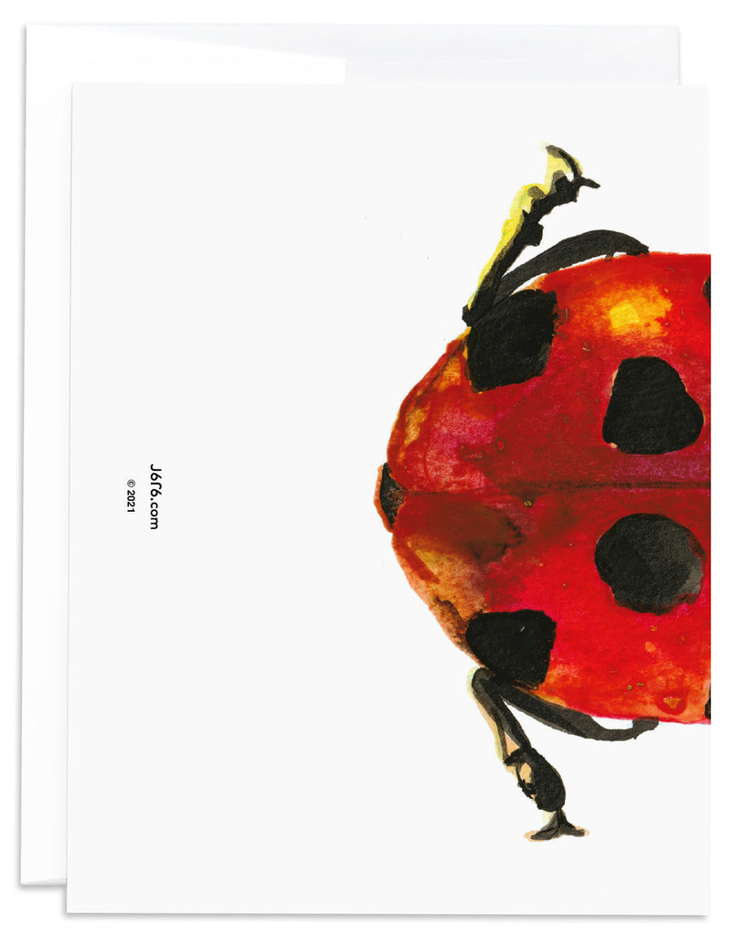 cropped red ladybug notecard back