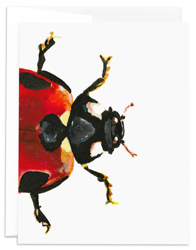 cropped red ladybug notecard front