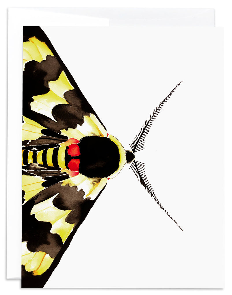 yellow and black moth notecard front