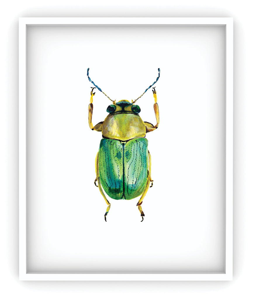 framed yellow and green scarab beetle art print
