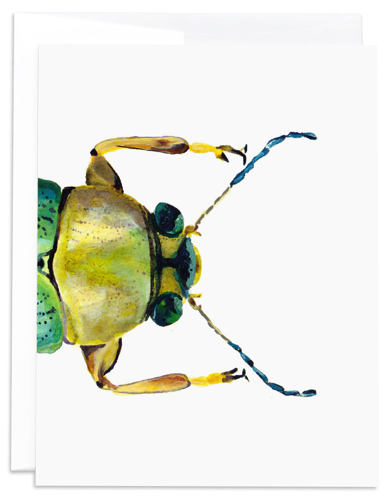scarab beetle notecard front