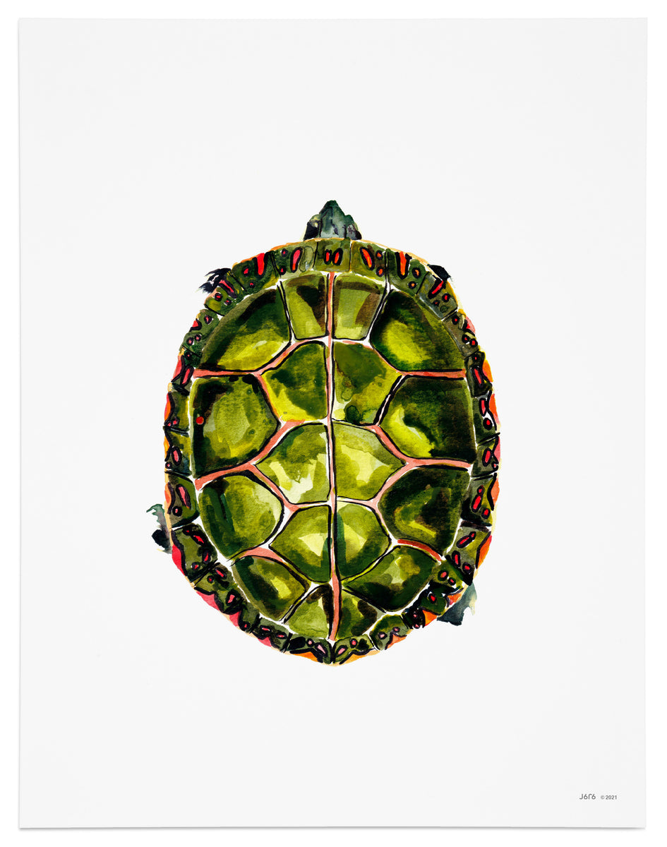 Painted Turtle Art Print – J6R6