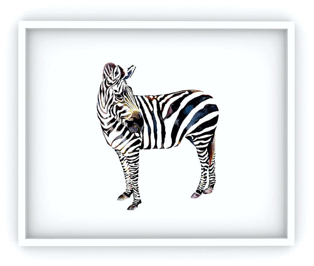 framed zebra art print