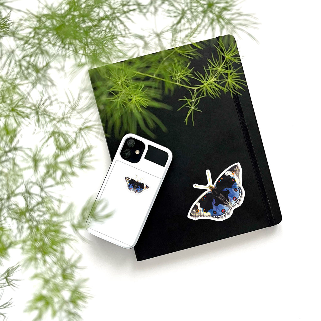 large and small blue butterfly sticker on phone and notebook