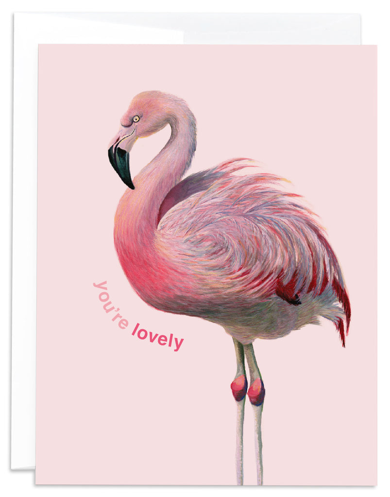 J6R6 Pink Flamingo Card Front