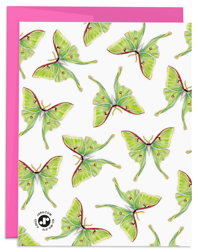 J6R6 Green Luna Moth Pattern Card