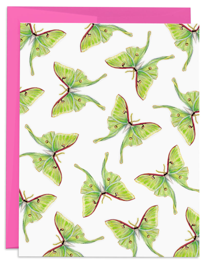 J6R6 Green Luna Moth Pattern Card with Pink Envelope Front