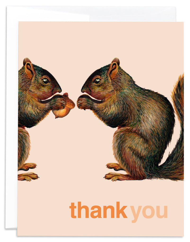 J6R6 Squirrel Thank You Card Front