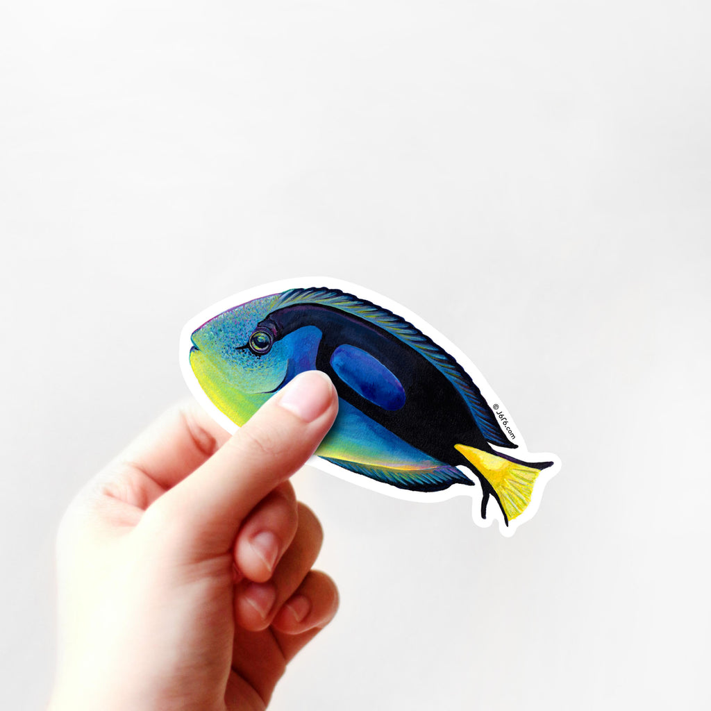 blue tang fish vinyl sticker in hand