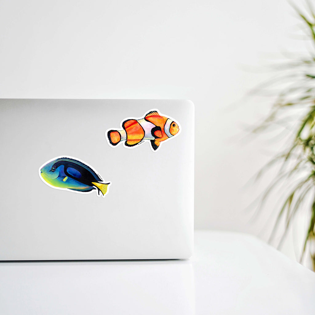 blue tang fish and clownfish sticker on computer