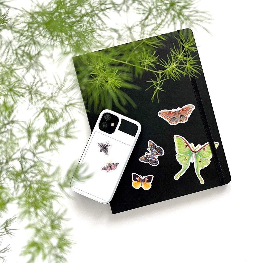 moth and butterfly vinyl stickers on phone and notebook