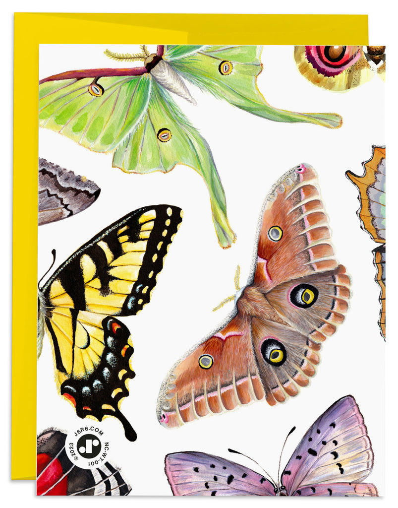 J6R6 Moths and Butterflies Card Back