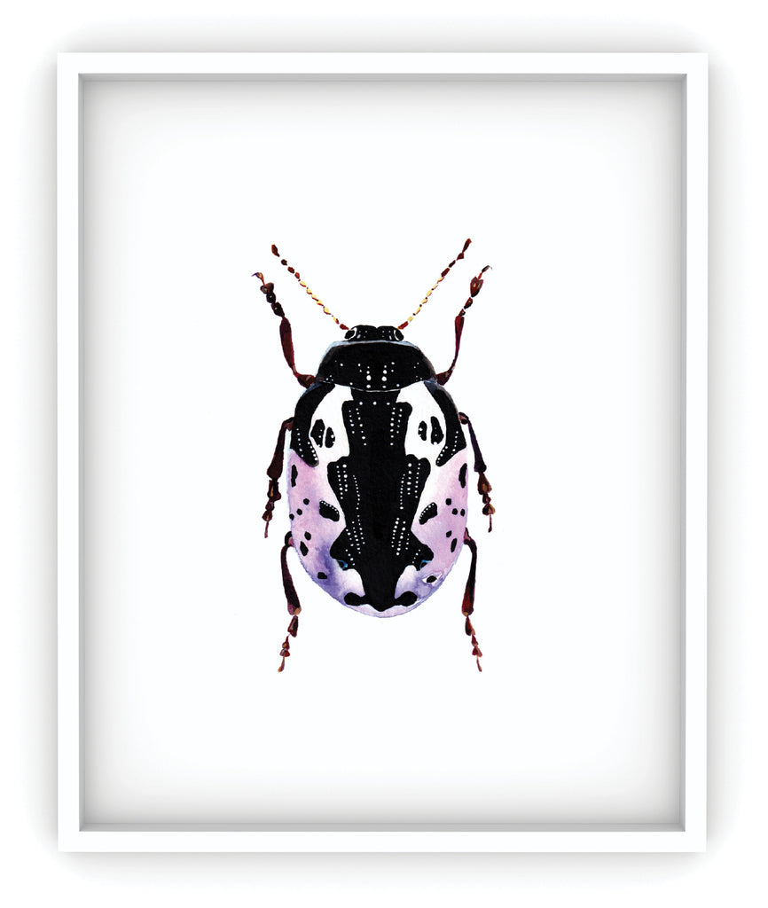 calligrapha pink beetle art print