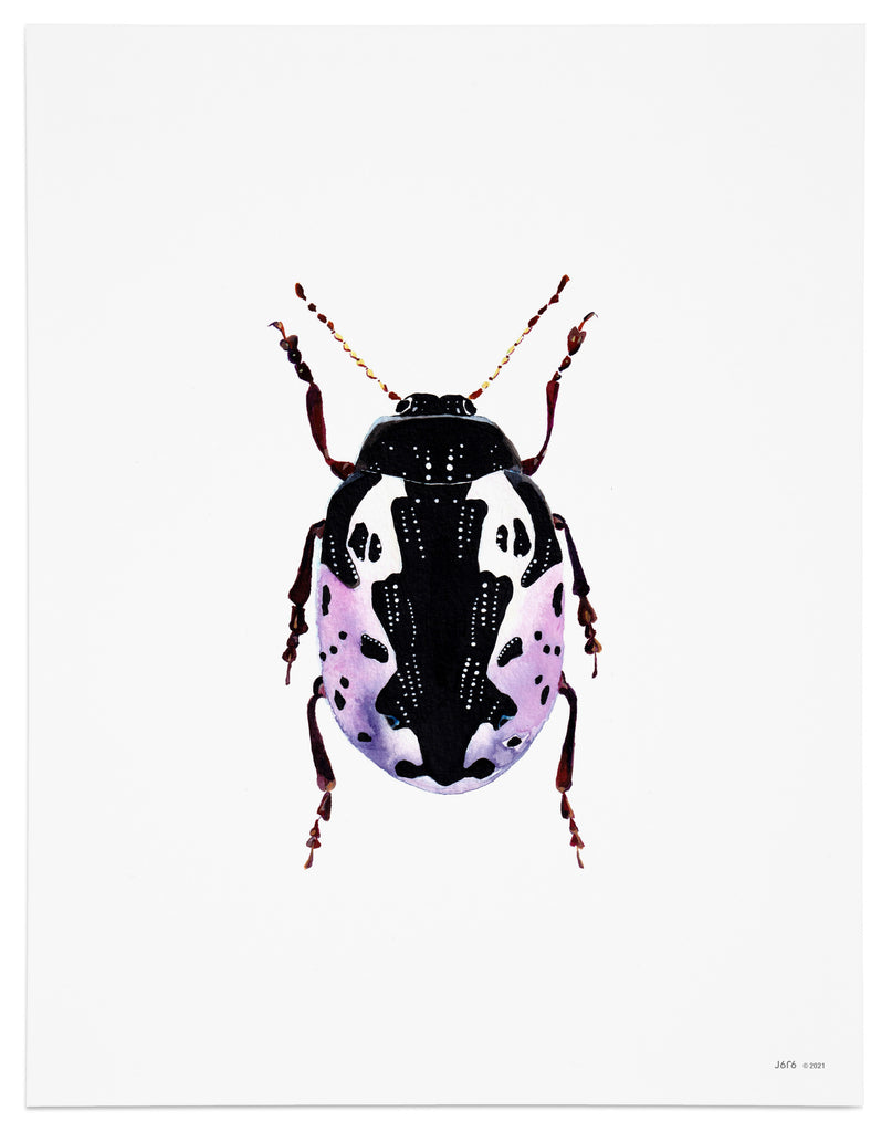 calligrapha pink beetle art print