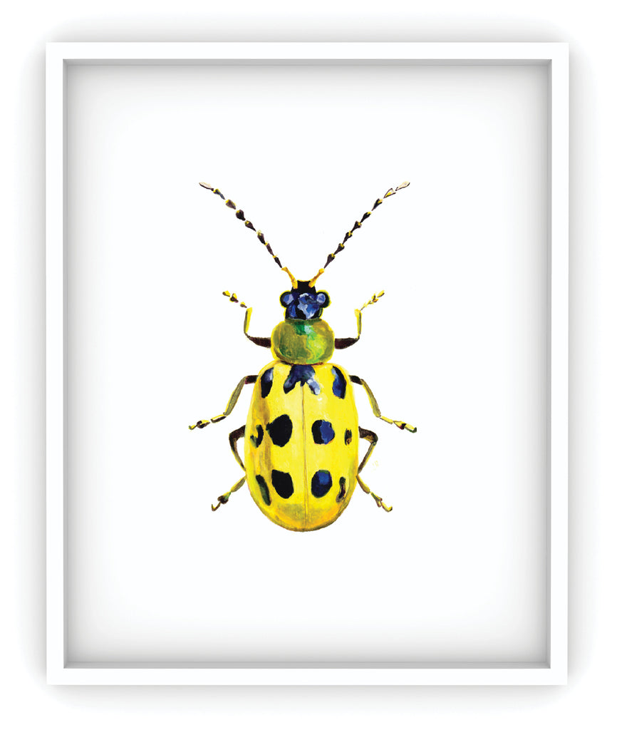 yellow cucumber beetle art print framed