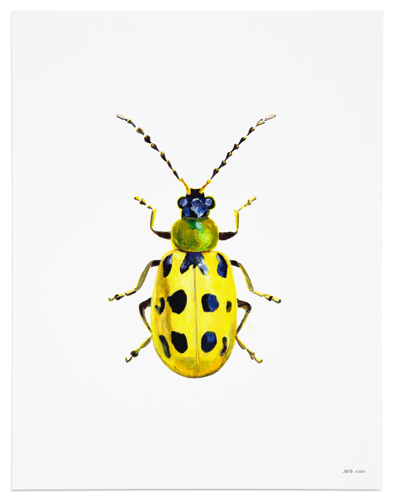 yellow cucumber beetle art print