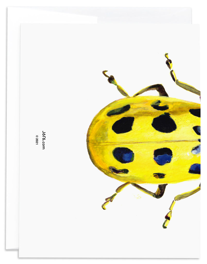 yellow cucumber beetle note card back