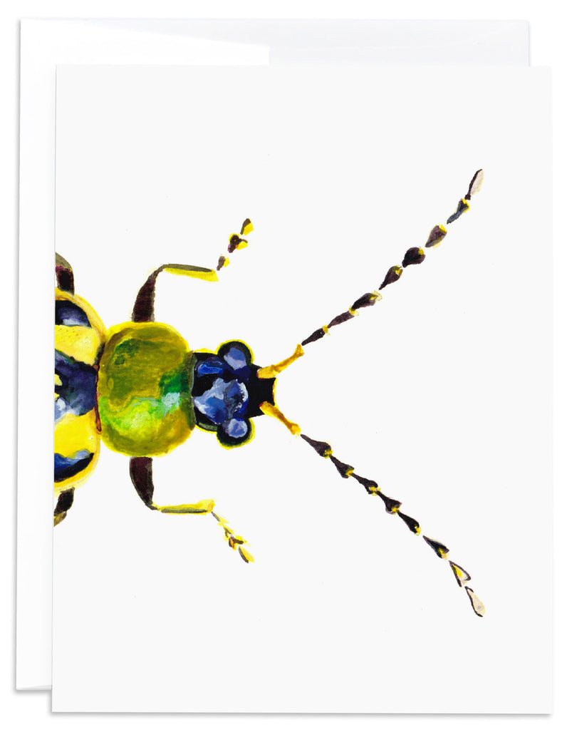 yellow cucumber beetle note card front