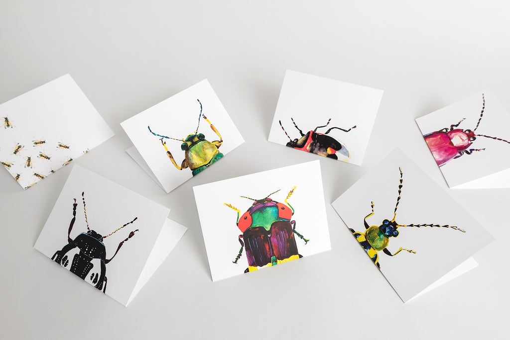 insect notecards