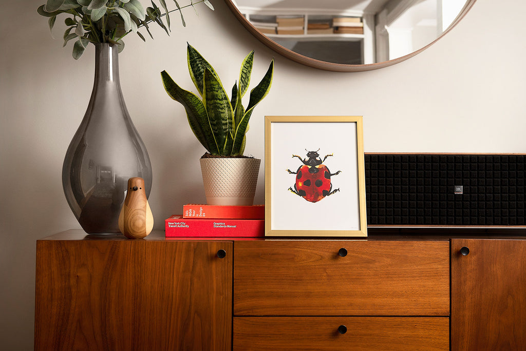 framed red ladybug art print on living room cabinet