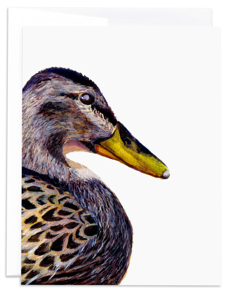 female mallard duck note card front