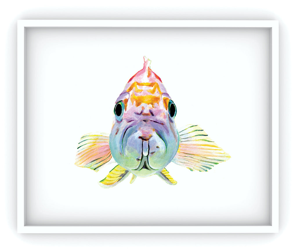 pastel fish framed art print