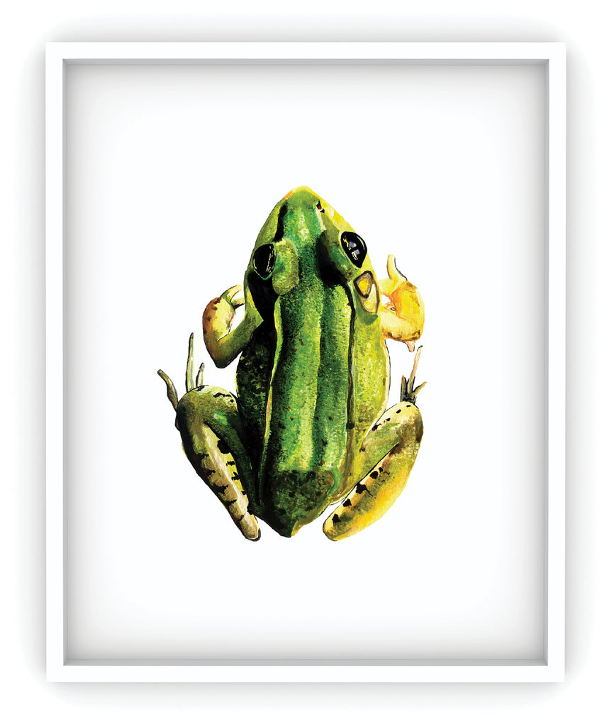 green frog framed art print